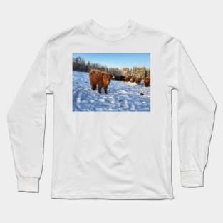 Scottish Highland Cattle Calf 1651 Long Sleeve T-Shirt